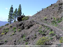Gran Canaria. Et stykke 'Camino Real' på bjergsiden.