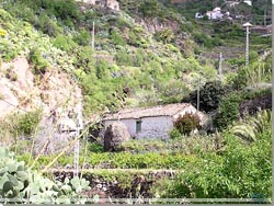Gran Canaria. På sporet fra La Culata til Tejeda.
