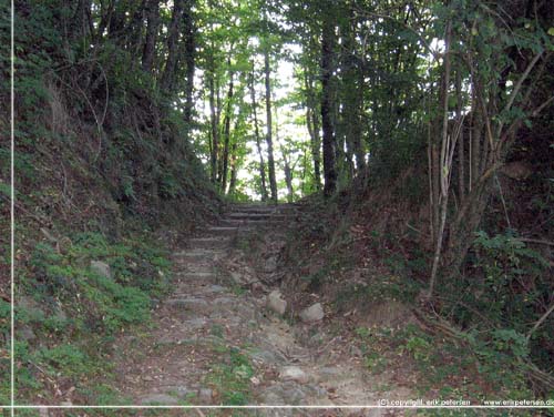 Toscana. Alpi Apuane trek. Dag 1. Op gennem kastanieskoven udenfor Castelnuovo