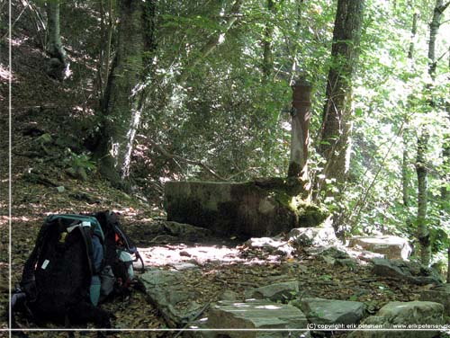 Toscana. Alpi Apuane trek. Dag 2. Vandpost i skoven