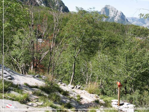 Toscana. Alpi Apuane trek. Dag 3. Stedet hvor sti nr 127 drejer fra