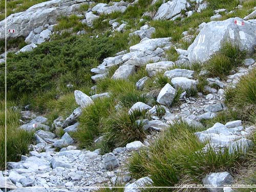 Toscana. Alpi Apuane trek. Dag 2. Her missede vi stien op til Pania della Croce