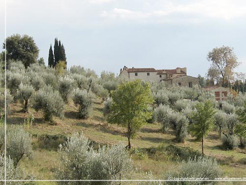 Toscana. Landlig idyl ved Fiesol udenfor Firenze
