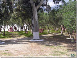 Apollonia Camping. Plakias, teltpladsen Apollonia Camping. Plakias, teltpladsen