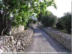 Mallorca. Stengrderne omkransede de sm veje