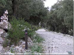 Mallorca. Fra turen Lluc til Caimari ad GR 222