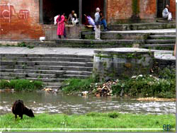 Nepal. Kathmandu. Ligbrnding, sndagsudflugt og affald ved Pashupati [Klik for et strre billede]