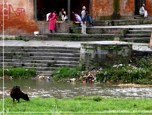 Nepal. Kathmandu. Ligbrnding, sndagsudflugt og affald ved Pashupati