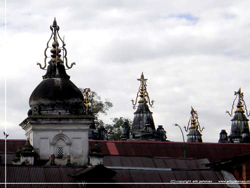 Nepal. Kathmandu. Ved Pashupati