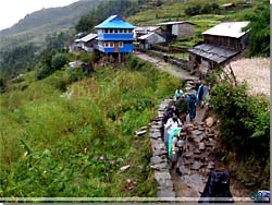 Nepal.  P vej til Banthanti [Klik for et strre billede]