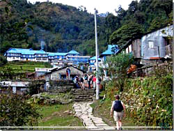 Nepal. P vej ind i Ghorepani [Klik for et strre billede]