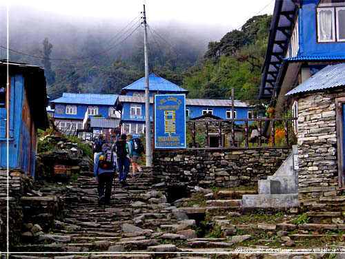 Nepal. Sidste stykke op til New Annapurna Lodge i Gorepani