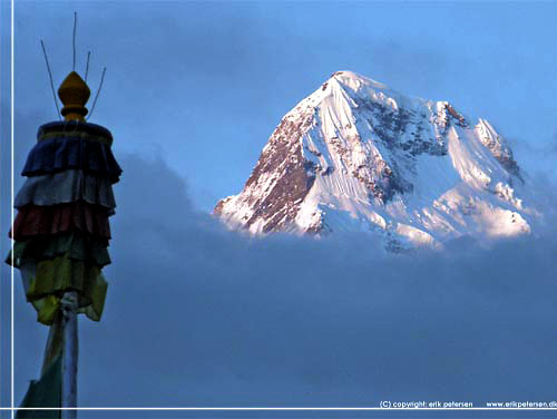 Nepal. Dhaulagiri (8167 m) set fra New Annapurna Lodge i Ghorepani