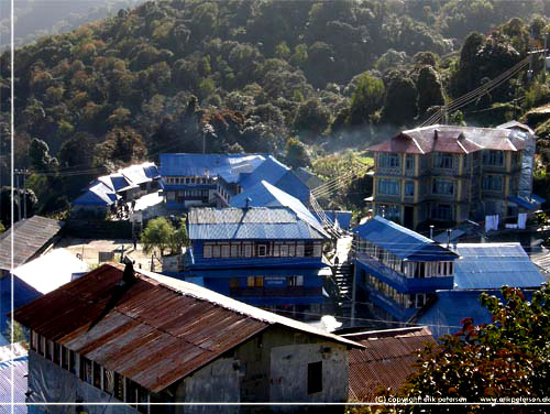 Nepal. P vej ned fra Poon Hill. Hestebyen Ghorepani set lidt fra oven