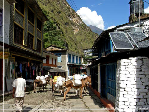 Nepal. Tatopani. selkaravane i gaden