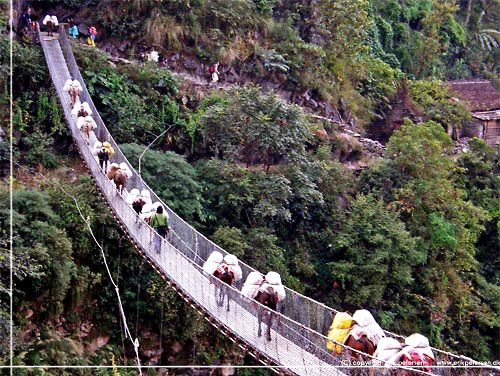 Nepal. selkaravane p den store hngebro over Kali Gandaki