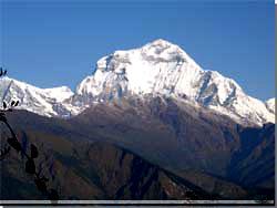 Nepal.  Chitre. Bagude l de snedkkede kmper [Klik for et strre billede]