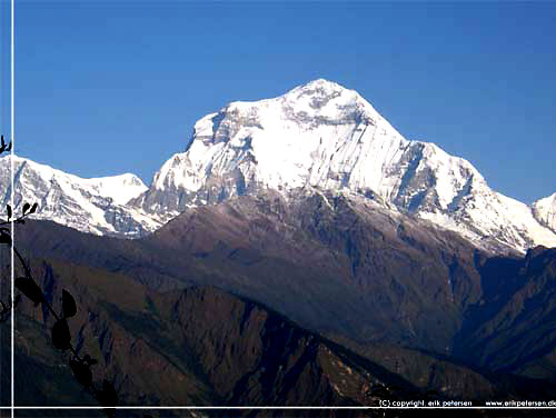 Nepal. Chitre. Bagude l de snedkkede kmper. Her Dhaulagiri