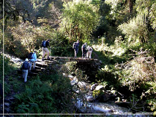 Nepal. P vejen fra Chitre til Tadapani mtte vi flere steder over floden ad sm broer