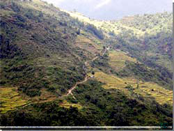 Nepal. P vej til Ghandruk. Vejen der frer nord p til Taglung [Klik for et strre billede]