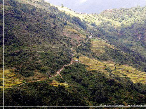 Nepal. P vej til Ghandruk. Vejen der frer nord p til Taglung