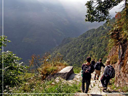 Nepal. Fra Ghandruk gik vejen nedad mod Birethanti Nepal. Fra Ghandruk gik vejen nedad mod Birethanti