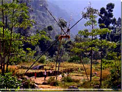 Nepal. P vej til Birethanti. Kmpe gynge af bambus [Klik for et strre billede]