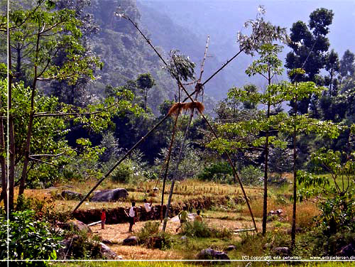 Nepal. P vej til Birethanti. Kmpe gynge af bambus