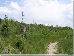 Slovakiet. Ryddet skov ved Tatranska Lomnica. Ryddet af stormen i 2004 [Klik for et strre billede]