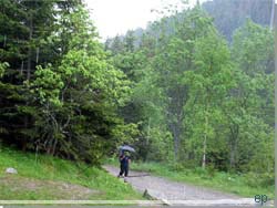 Slovakiet. Regn og vandring med paraply [Klik for et strre billede]