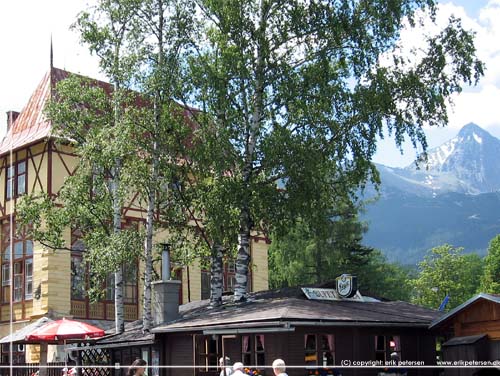 Slovakiet. Ved busstationen i Tatranska Lomnica