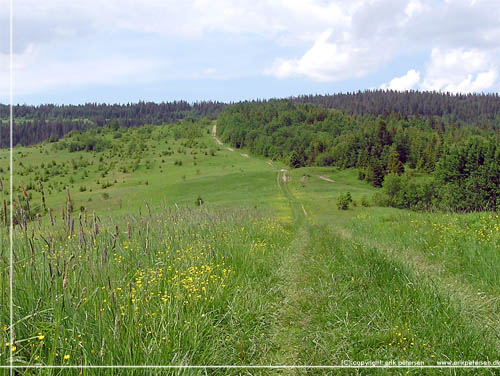 Slovakiet. Zdiar. Et tilbageblik mod skoven og stien vi kom ad