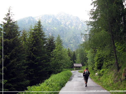 Slovakiet. P vej til bjerghytten, refugie Chata pri Popradskom plese