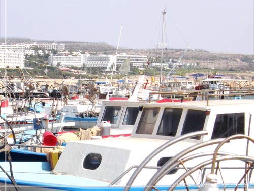 Cypern. Motiv fra den lille ttpakkede havn i Ayia Napa