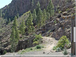 Gran Canaria. Caminoen til San Bartolome drejer ned i klften her [Klik for strre foto]