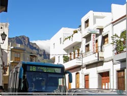Gran Canaria. Gua gua nr 18 på plads i San Bartolomé