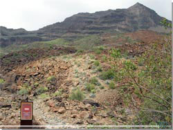 Gran Canaria. Her slutter den Arkologiske Park og det videre spor anes kun lige [Klik for strre foto]