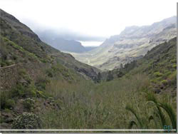 Gran Canaria.  Udsigt til Barranco de Los Vicentes [Klik for strre foto]