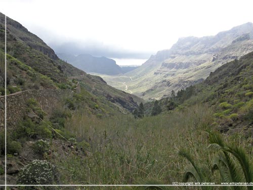 Barranco de Los Vicentes