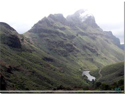 Gran Canaria. Bag sen forude rejser det 662 m hje Pico de la Cogolla sig [Klik for strre foto]