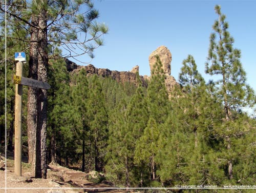 Roque Nublo i baggrunden