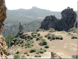 Gran Canaria. Udsigt mod st p vej tilbage fra Roque Nublo