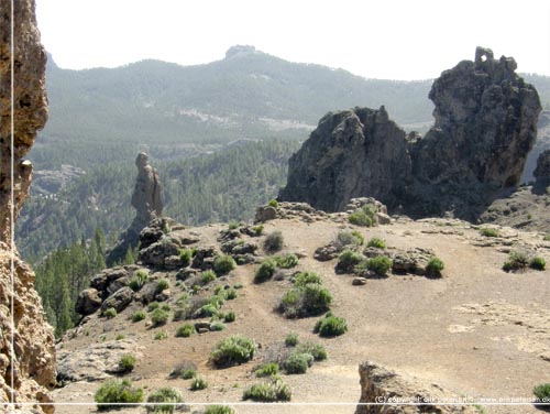 Tilbage fra Roque Nublo