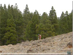 Gran Canaria. Af alle, dukkede en mountainbike rytter op på toppen. Godt nok et sejt folkefærd [Klik for større foto]
