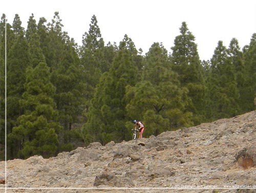 Af alle, dukkede en mountainbike op