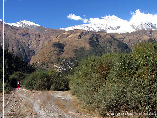 Nepal. Vi gr nu p kanten af Kali Gandaki flodlejet og sporet frer ind mellem trer og buske [copyright: Erik Petersen]