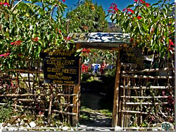 Nepal. Excellent View Guest House, Ghara, Myagdi. Et af flere sm tehuse p vejen [Klik for et strre billede]