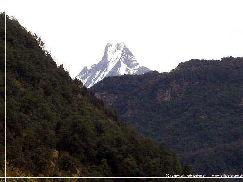 Nepal. Vi fr et meget fint udsyn til Machhapuchhe, Fiskehalen [copyright: Erik Petersen]