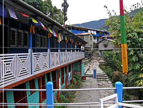 Nepal. Vores lodge ligger lige ud til hovedgaden. Laxmi Guest House & Restaurant er et af mange lodges i Tikedunga [copyright: Erik Petersen]