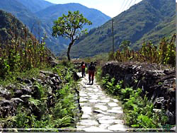 Nepal. Vi gr nu p en flot stenbelagt sti ind til Dana [Klik for et strre billede]